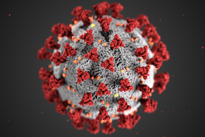 COVID-19 molecule